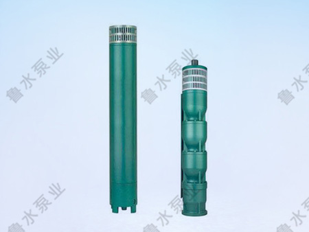175QJ井用潛水電(diàn)泵
