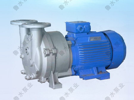 2BV水環式真空(kong)泵